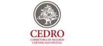 Cedro